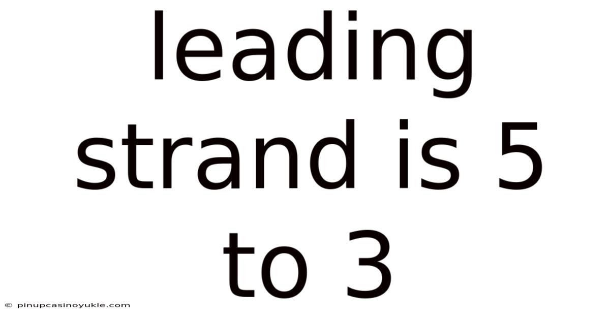Leading Strand Is 5 To 3