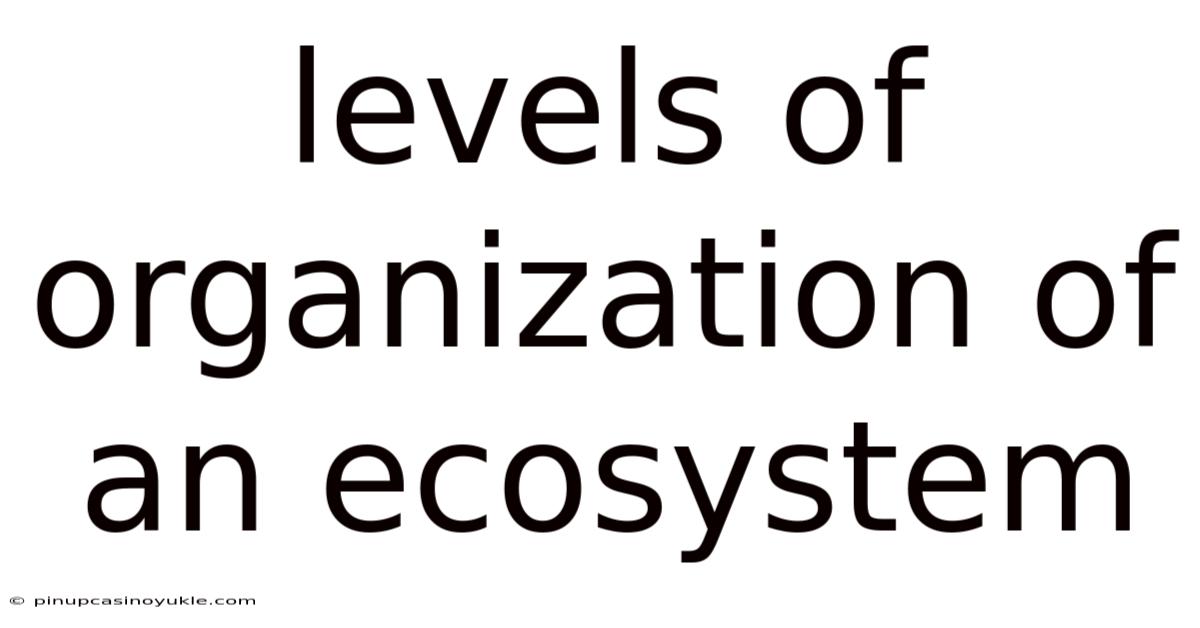 Levels Of Organization Of An Ecosystem