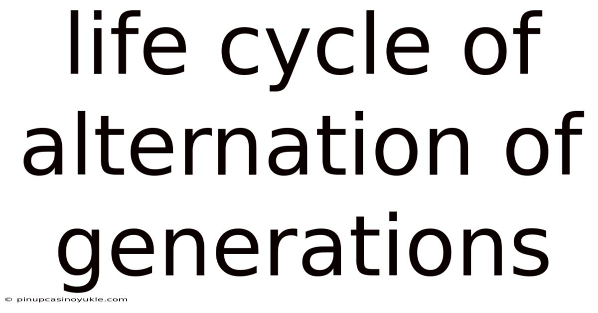 Life Cycle Of Alternation Of Generations