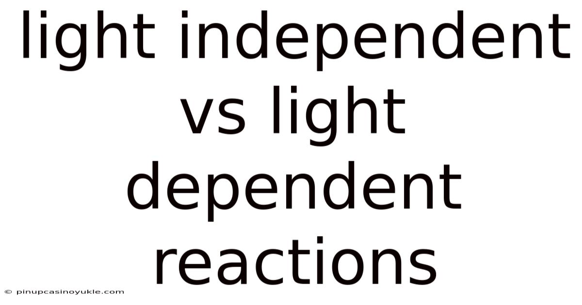 Light Independent Vs Light Dependent Reactions