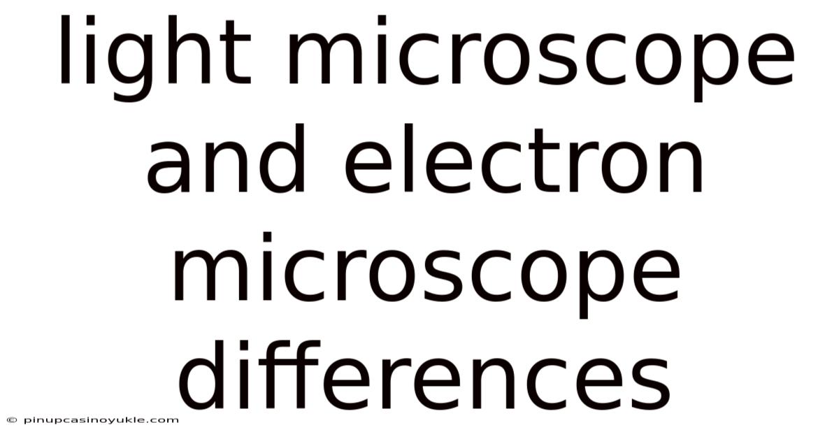 Light Microscope And Electron Microscope Differences