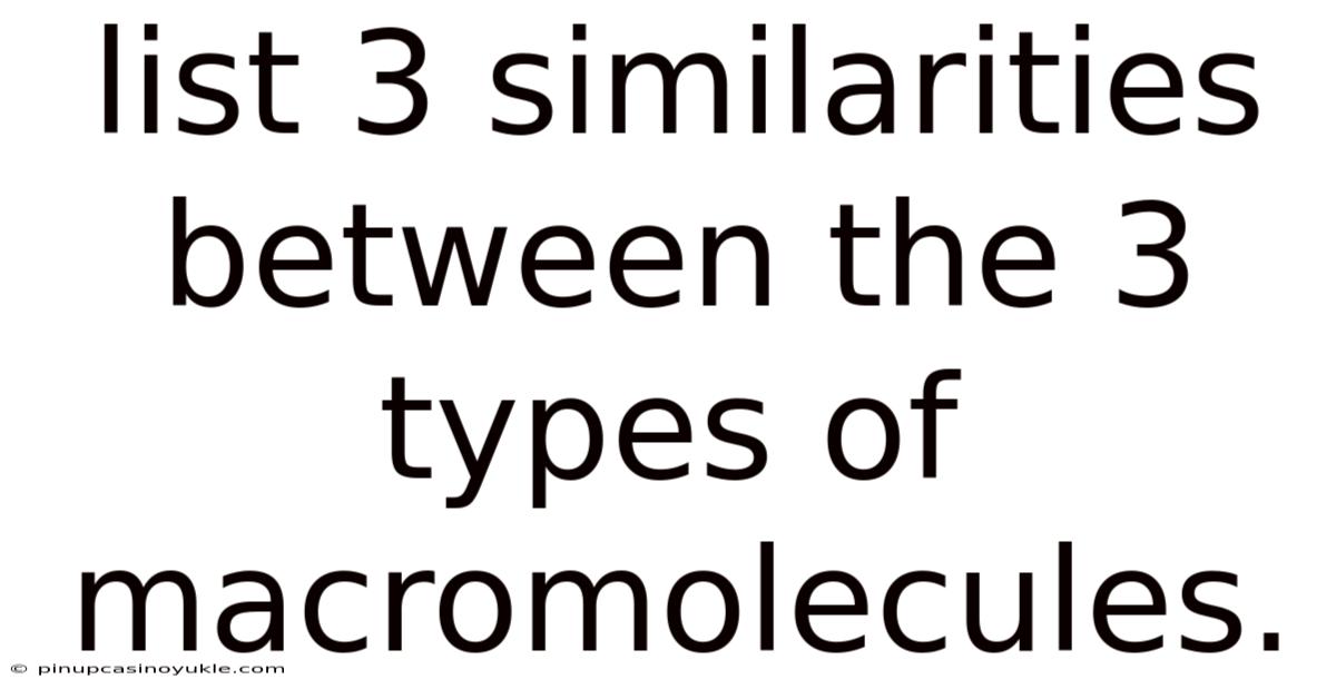 List 3 Similarities Between The 3 Types Of Macromolecules.