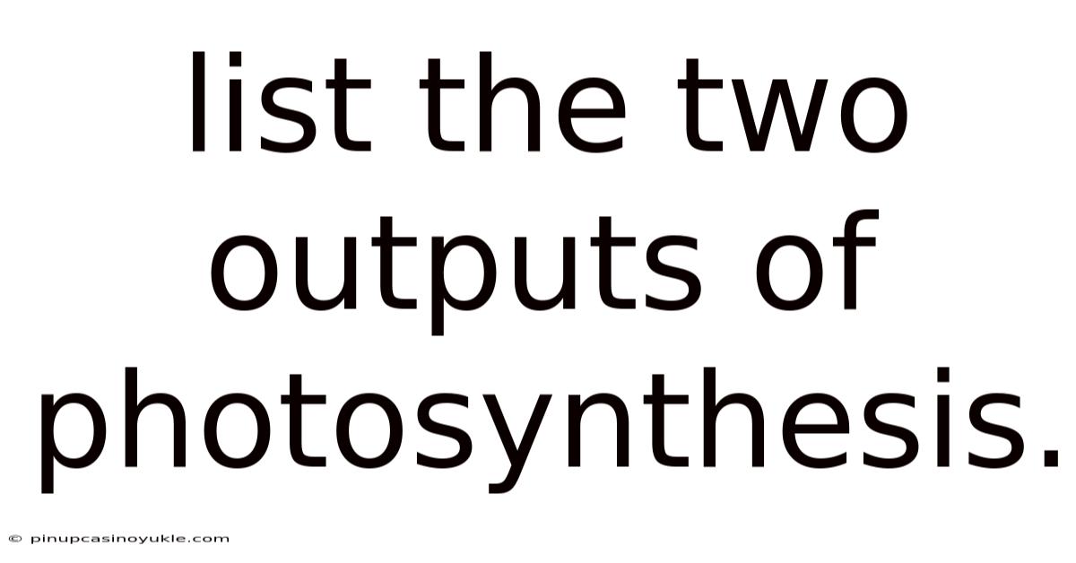 List The Two Outputs Of Photosynthesis.