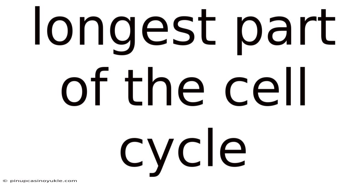 Longest Part Of The Cell Cycle