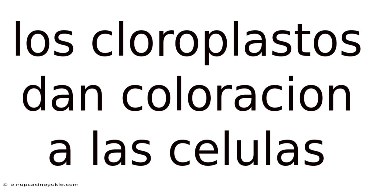 Los Cloroplastos Dan Coloracion A Las Celulas