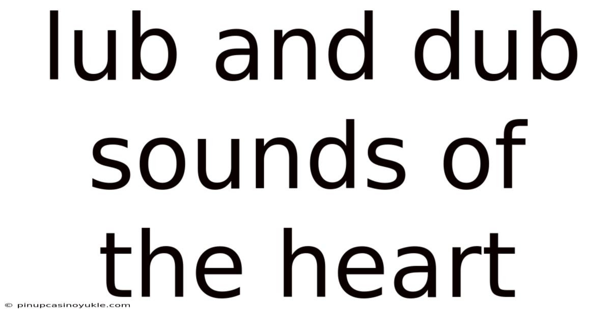 Lub And Dub Sounds Of The Heart