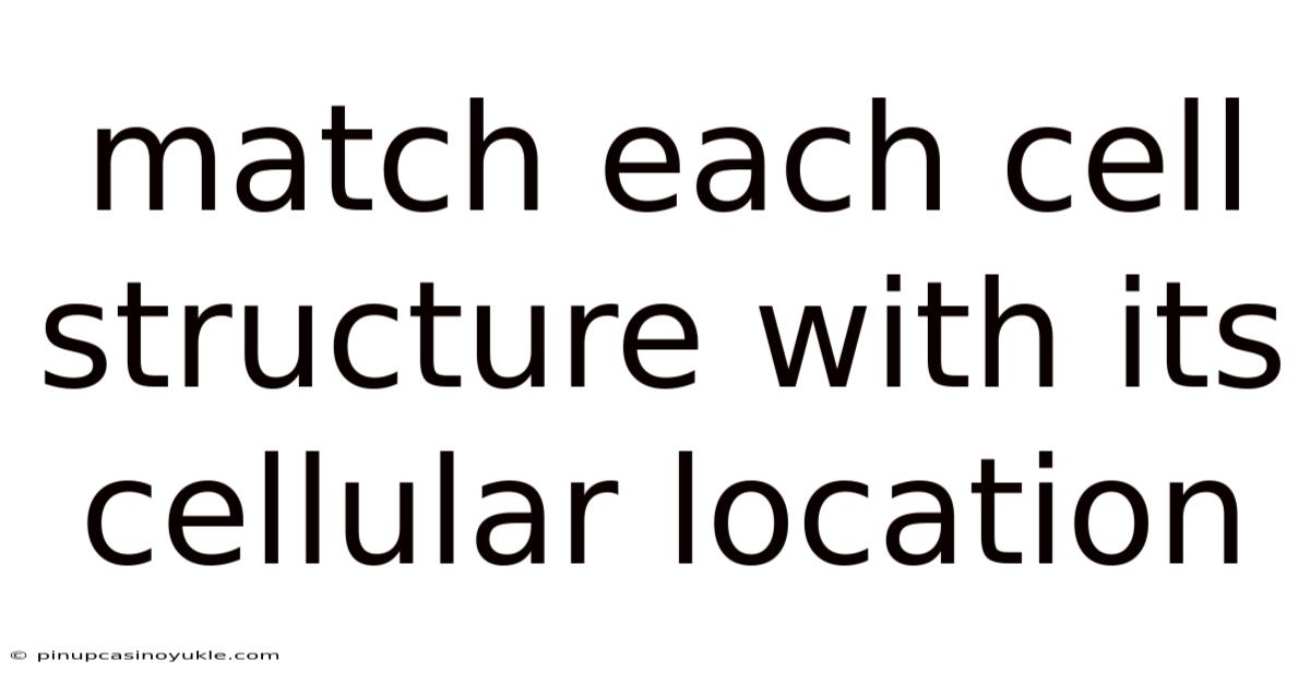 Match Each Cell Structure With Its Cellular Location