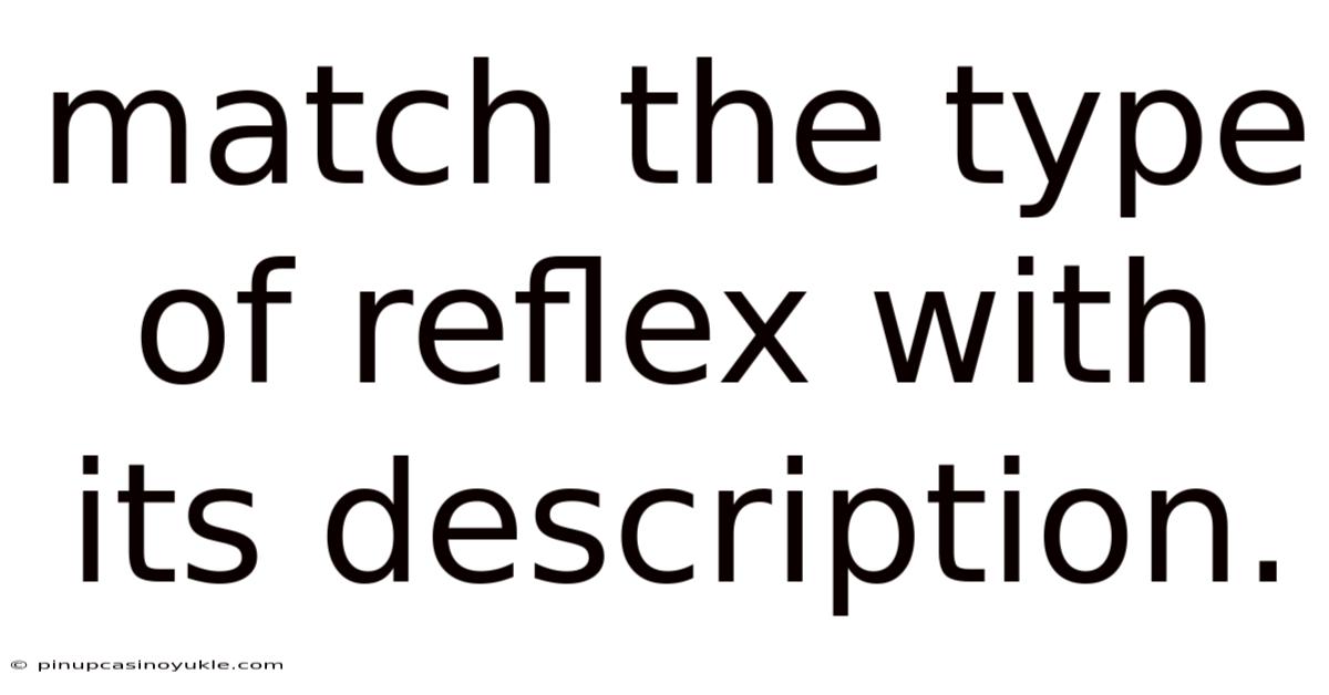 Match The Type Of Reflex With Its Description.
