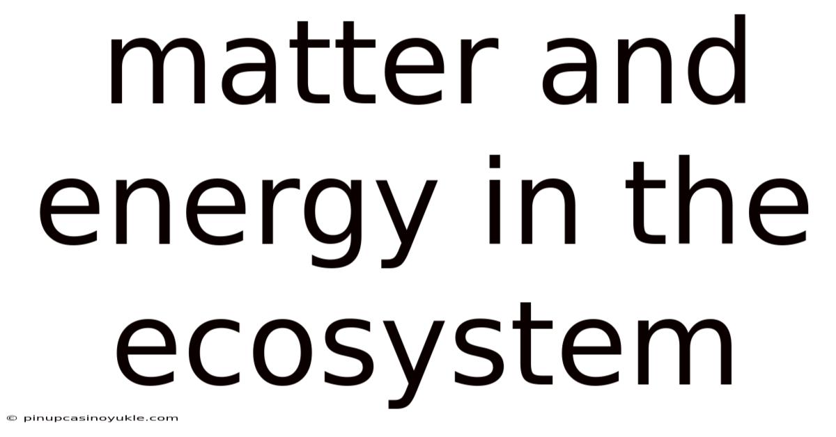 Matter And Energy In The Ecosystem