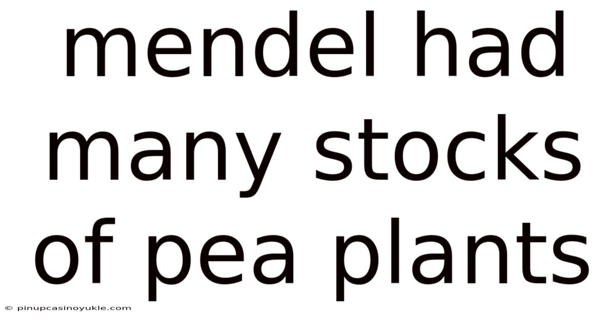 Mendel Had Many Stocks Of Pea Plants