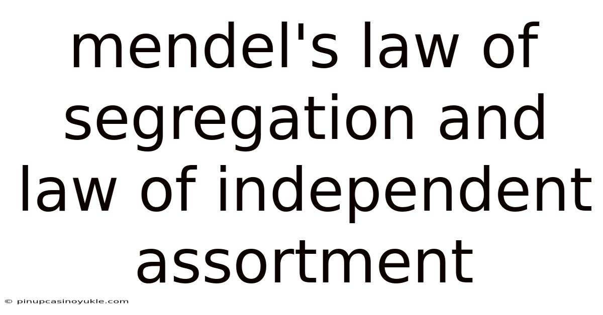 Mendel's Law Of Segregation And Law Of Independent Assortment