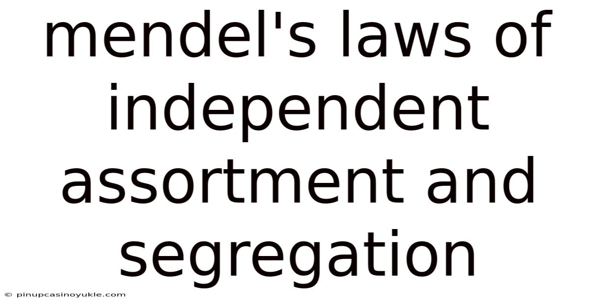 Mendel's Laws Of Independent Assortment And Segregation