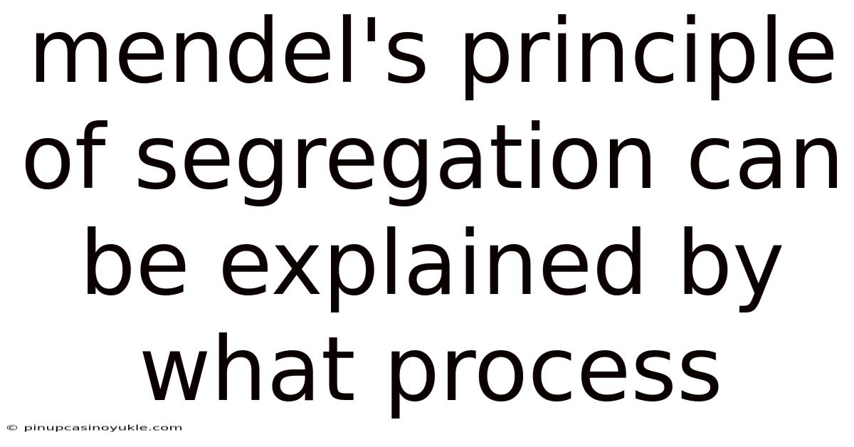 Mendel's Principle Of Segregation Can Be Explained By What Process