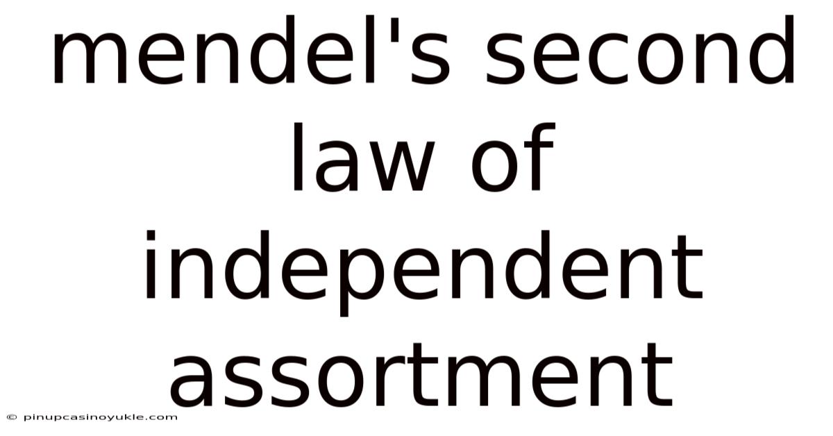 Mendel's Second Law Of Independent Assortment