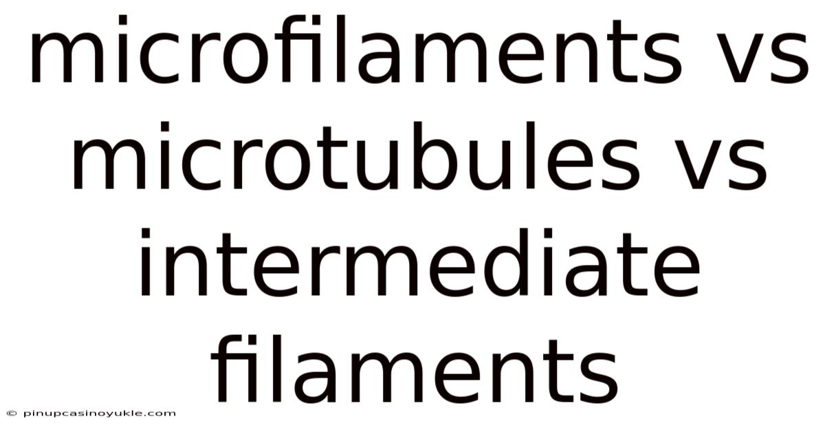 Microfilaments Vs Microtubules Vs Intermediate Filaments