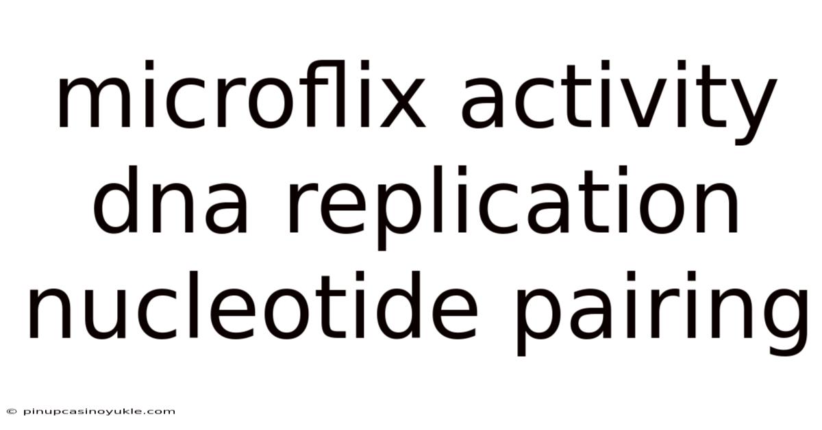 Microflix Activity Dna Replication Nucleotide Pairing