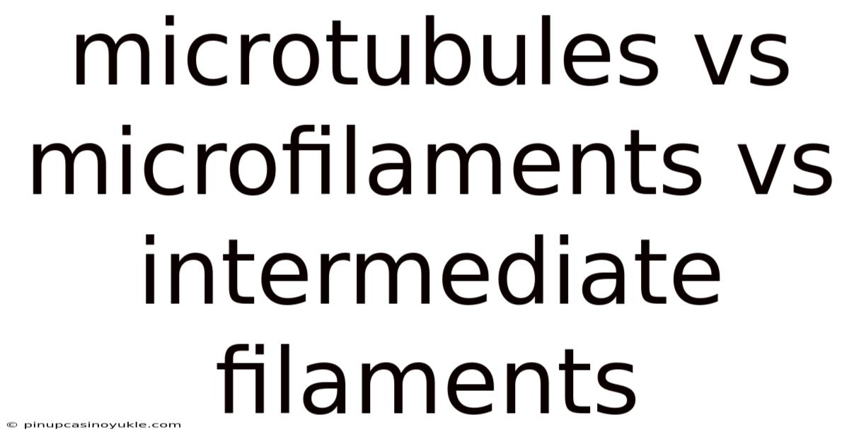 Microtubules Vs Microfilaments Vs Intermediate Filaments
