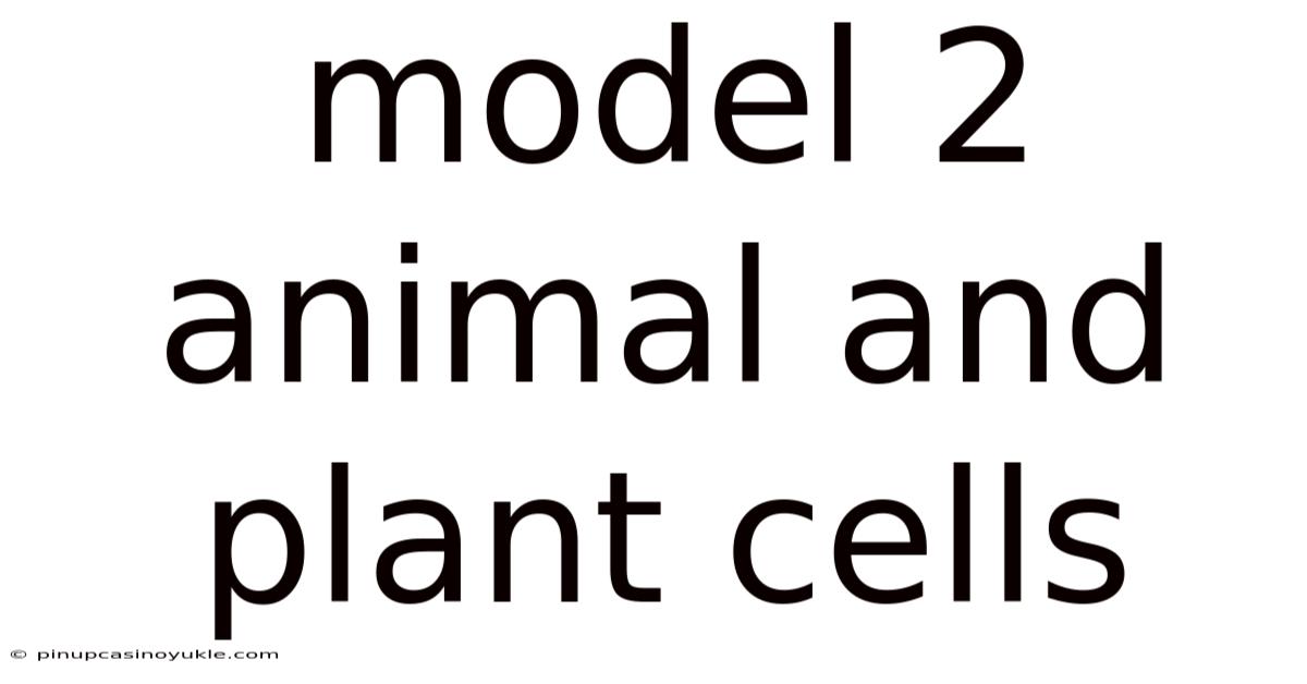 Model 2 Animal And Plant Cells