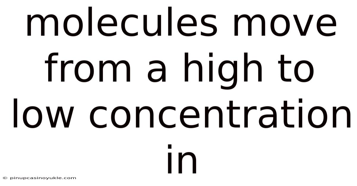Molecules Move From A High To Low Concentration In