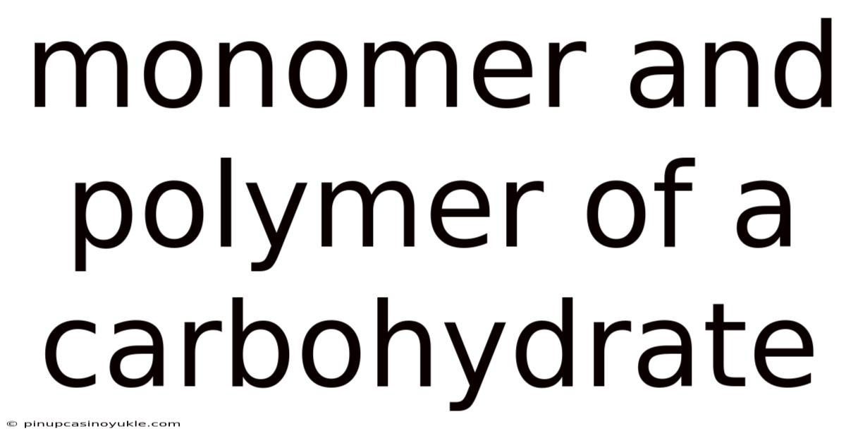 Monomer And Polymer Of A Carbohydrate