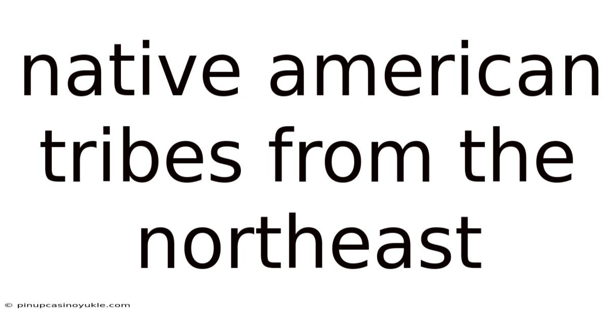 Native American Tribes From The Northeast