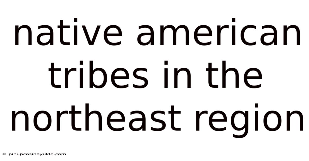 Native American Tribes In The Northeast Region