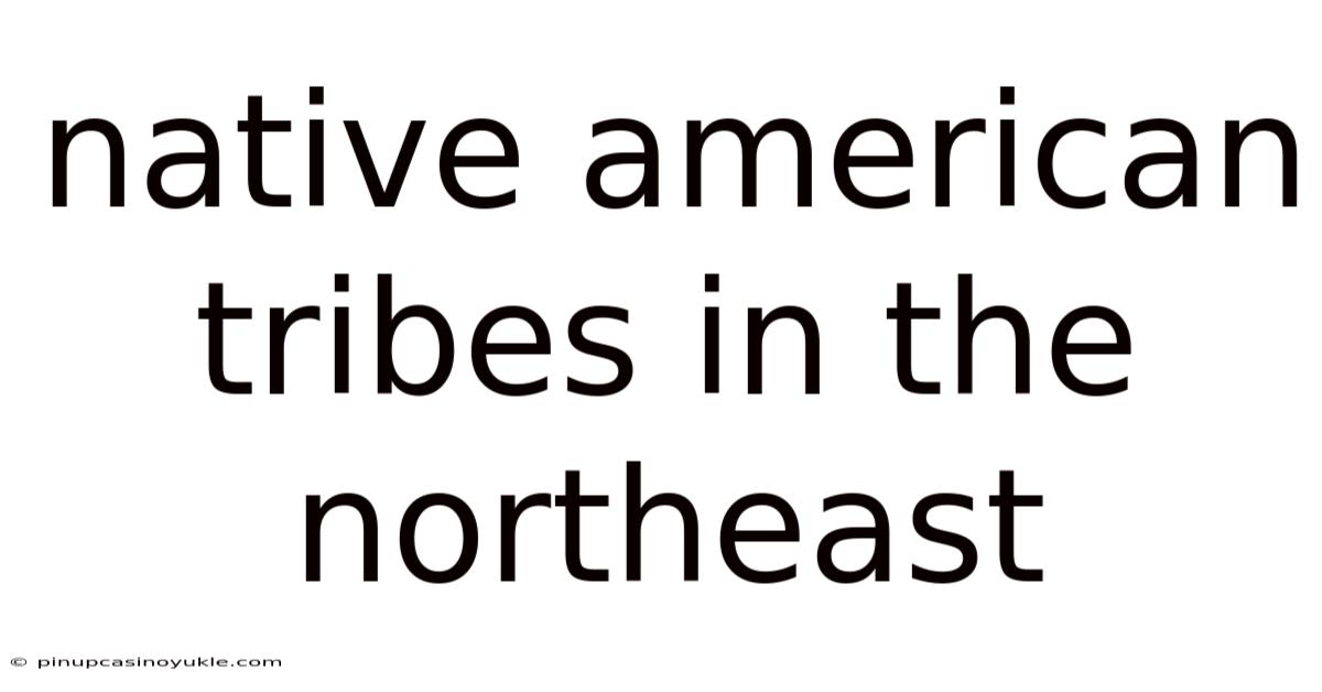 Native American Tribes In The Northeast