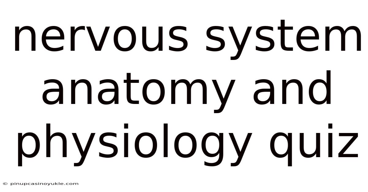 Nervous System Anatomy And Physiology Quiz