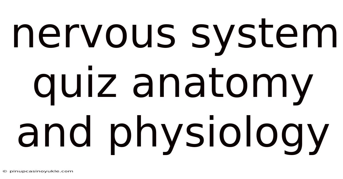 Nervous System Quiz Anatomy And Physiology