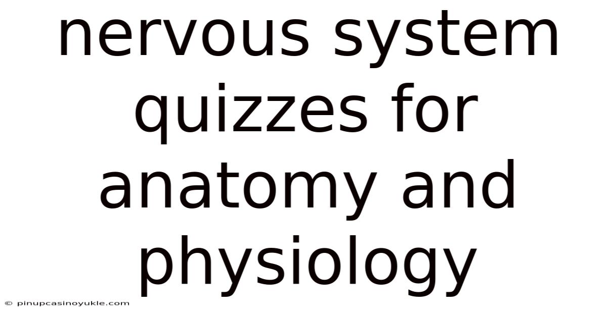 Nervous System Quizzes For Anatomy And Physiology