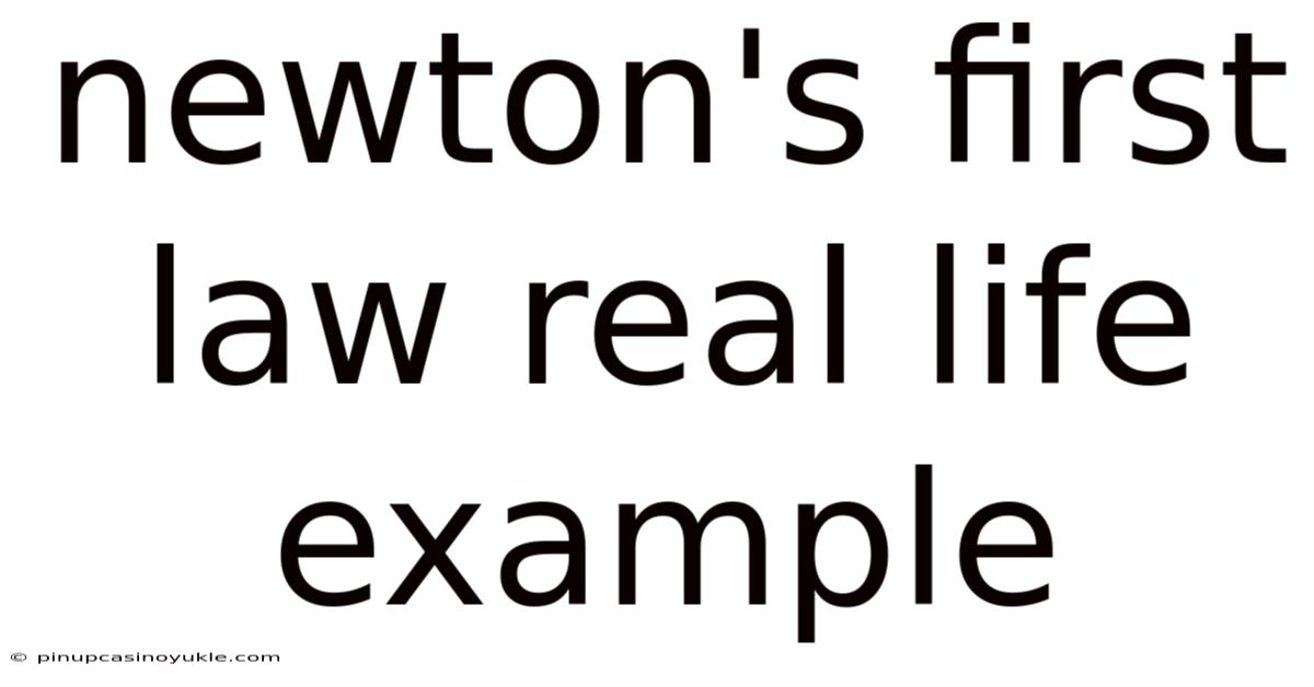 Newton's First Law Real Life Example