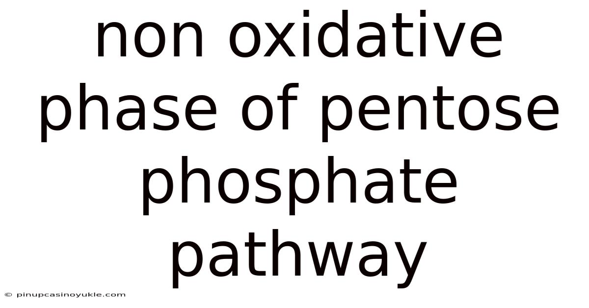 Non Oxidative Phase Of Pentose Phosphate Pathway