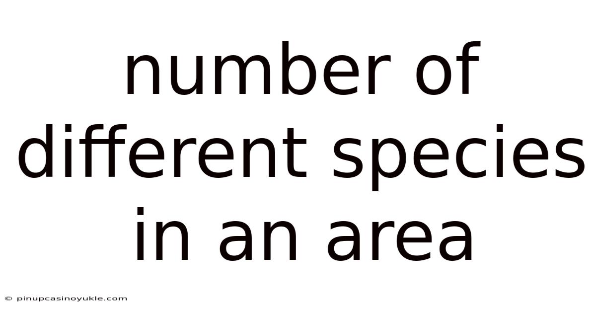Number Of Different Species In An Area