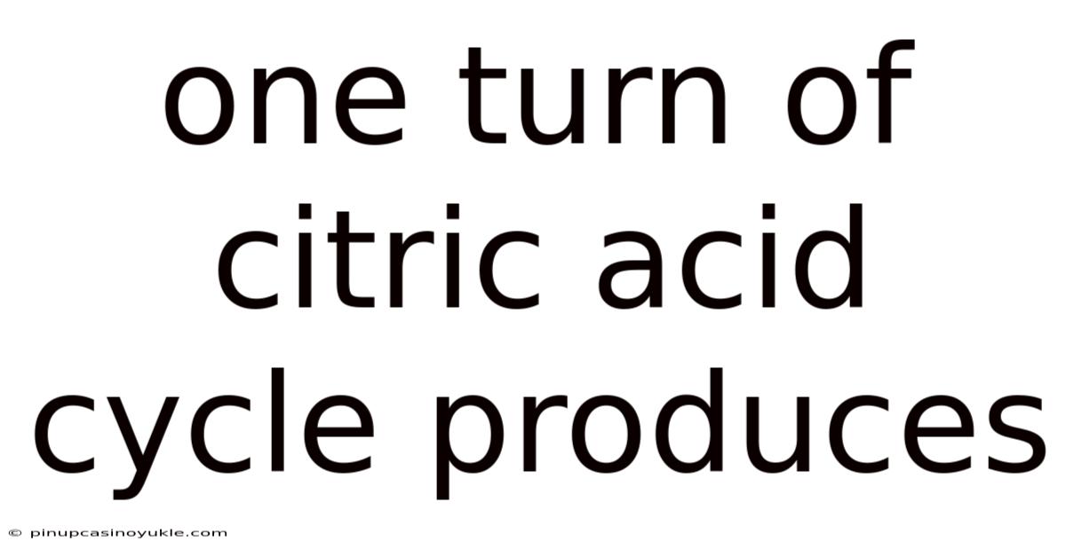 One Turn Of Citric Acid Cycle Produces