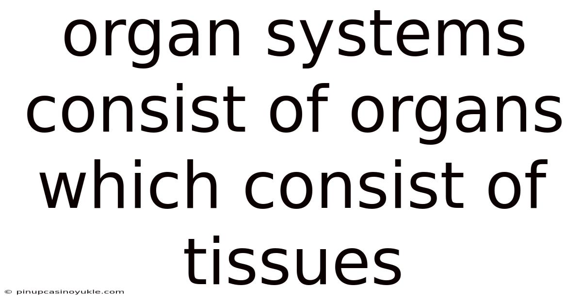 Organ Systems Consist Of Organs Which Consist Of Tissues