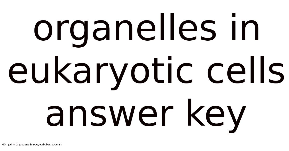 Organelles In Eukaryotic Cells Answer Key