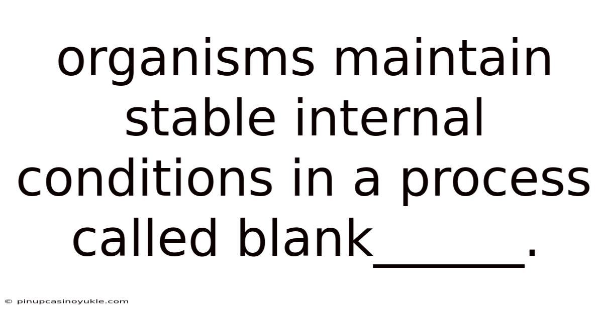 Organisms Maintain Stable Internal Conditions In A Process Called Blank______.