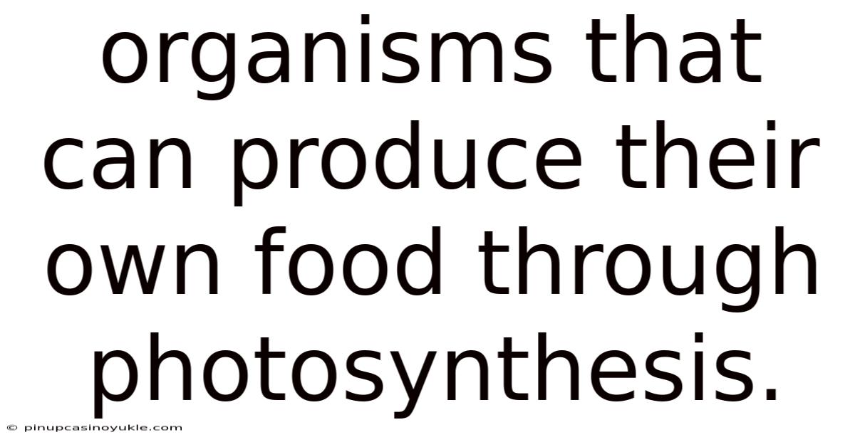 Organisms That Can Produce Their Own Food Through Photosynthesis.