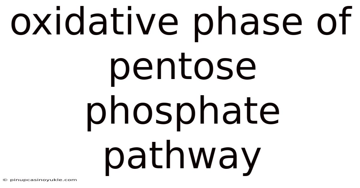 Oxidative Phase Of Pentose Phosphate Pathway