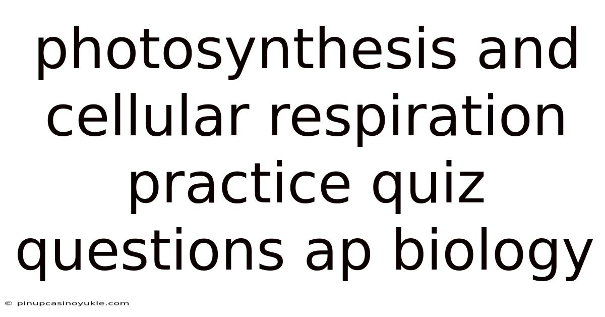 Photosynthesis And Cellular Respiration Practice Quiz Questions Ap Biology