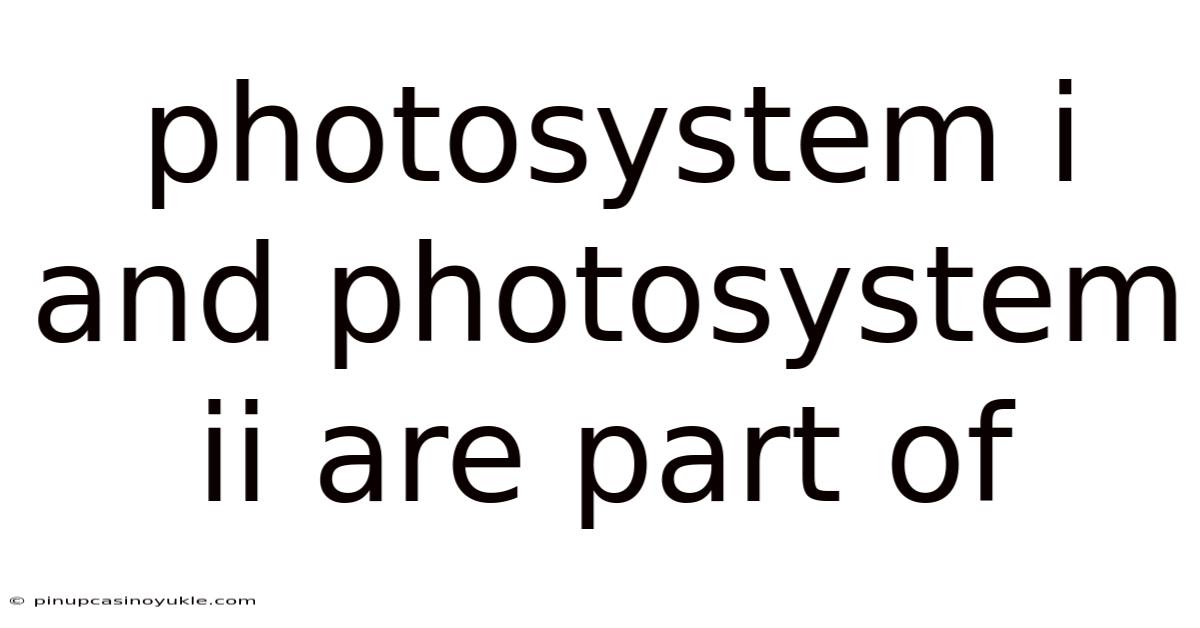 Photosystem I And Photosystem Ii Are Part Of