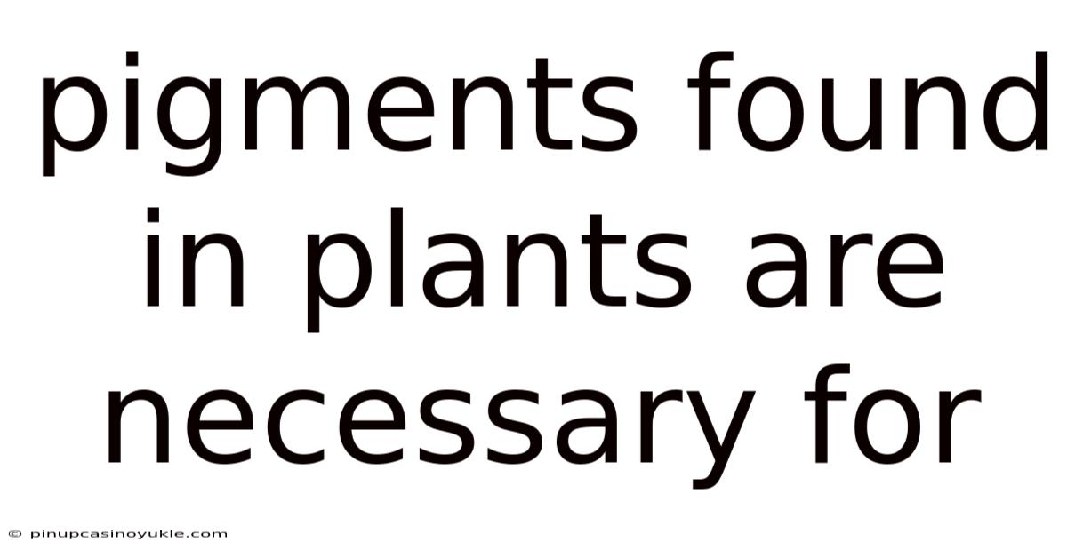 Pigments Found In Plants Are Necessary For