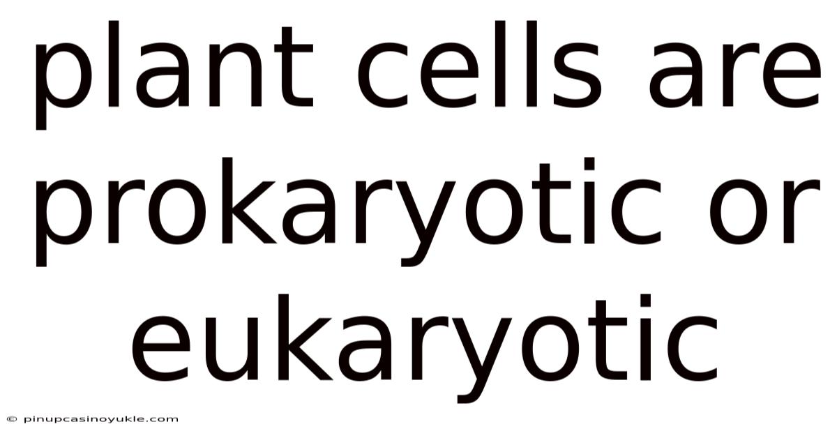 Plant Cells Are Prokaryotic Or Eukaryotic