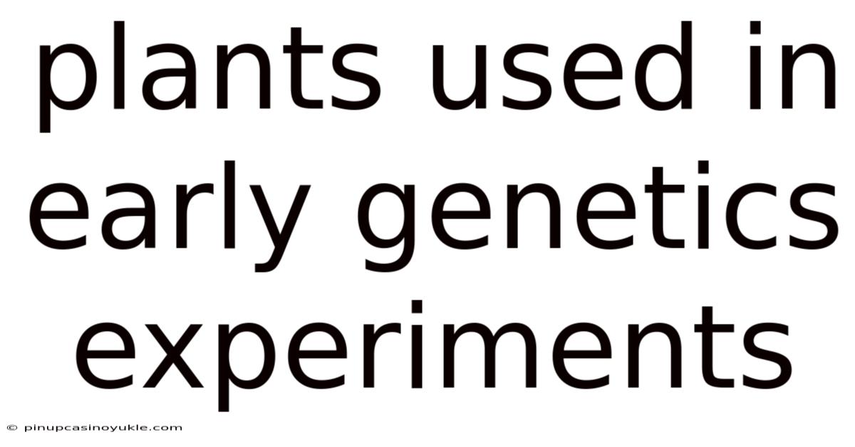 Plants Used In Early Genetics Experiments