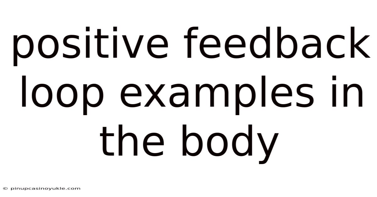 Positive Feedback Loop Examples In The Body