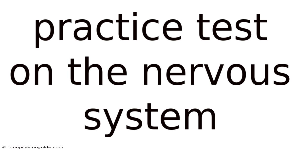 Practice Test On The Nervous System