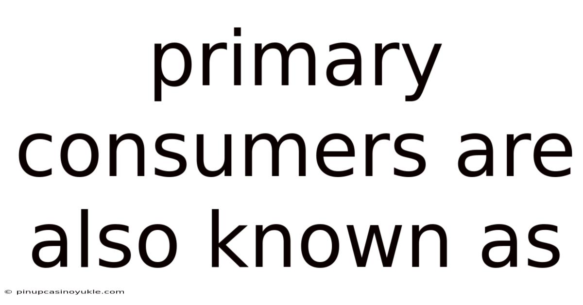 Primary Consumers Are Also Known As