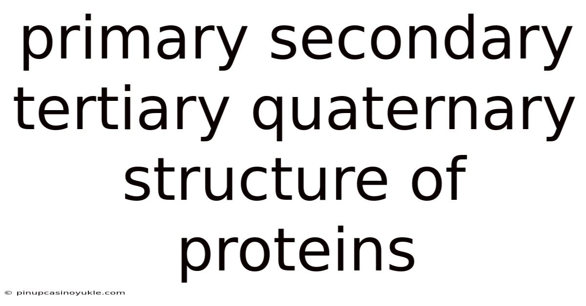 Primary Secondary Tertiary Quaternary Structure Of Proteins