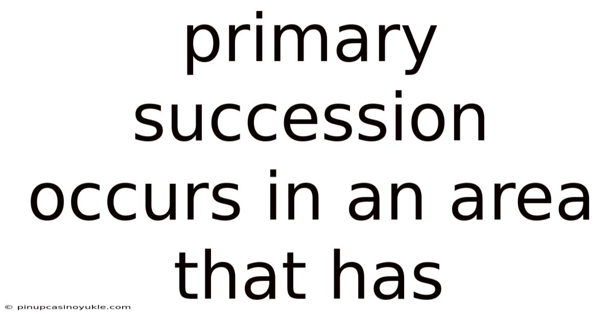 Primary Succession Occurs In An Area That Has