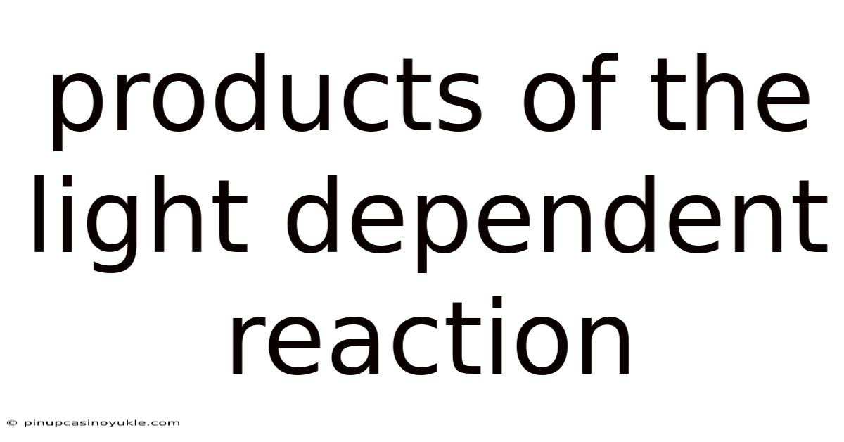 Products Of The Light Dependent Reaction